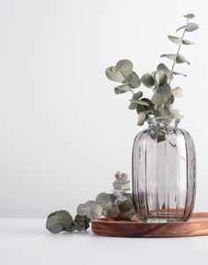 ガラス花瓶に挿された美しいユーカリの枝